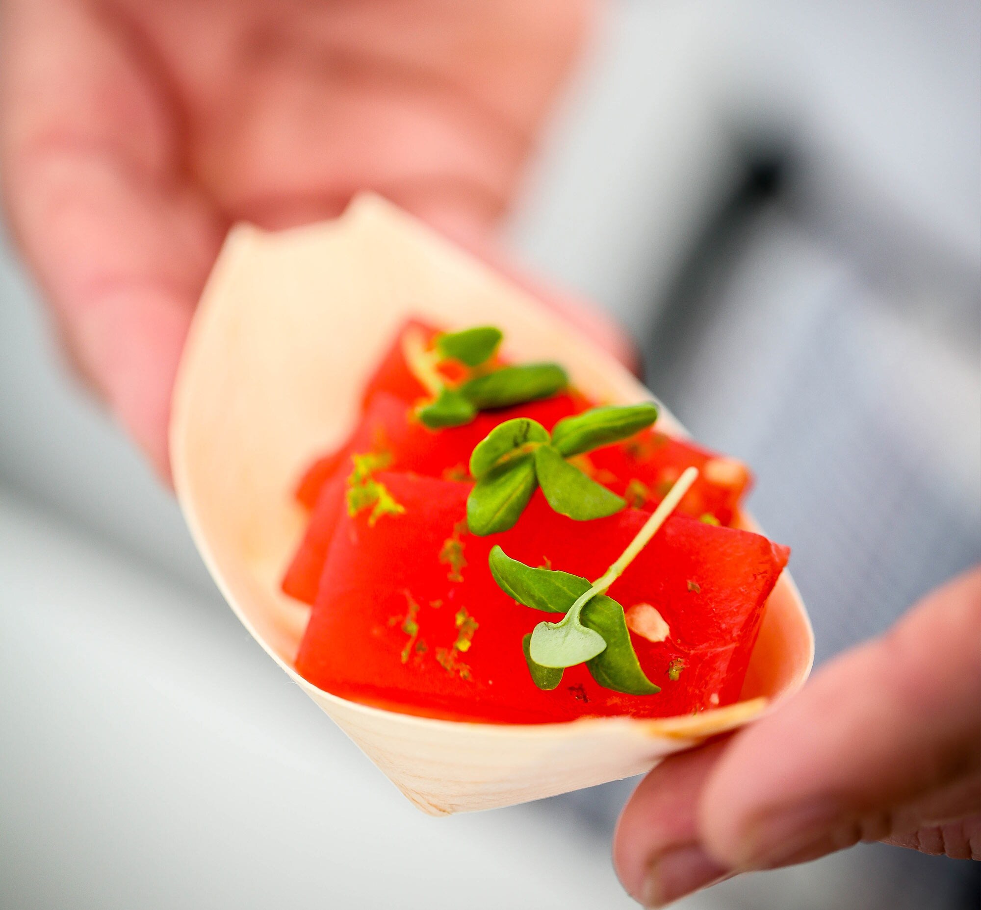 Chili- och margaritamarinerade vattenmelontärningar