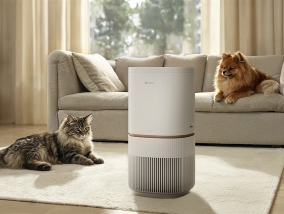 Luftrenaren Pure 500 XL PetCare.