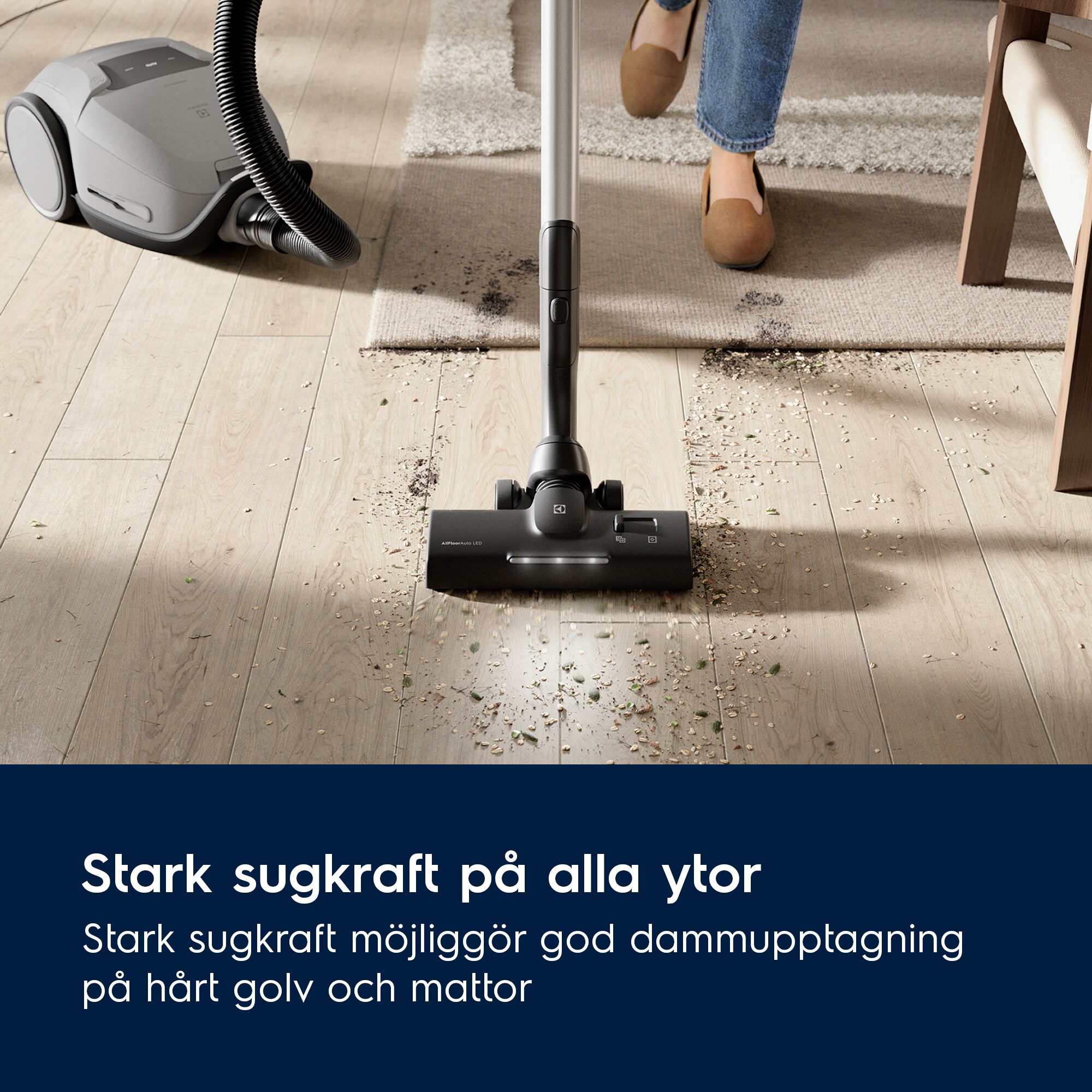 Electrolux - Dammsugare med påse - EB81A3UG