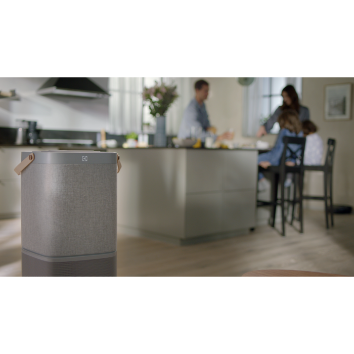 Electrolux - Tillbehör luftrenare - EFDCAR6