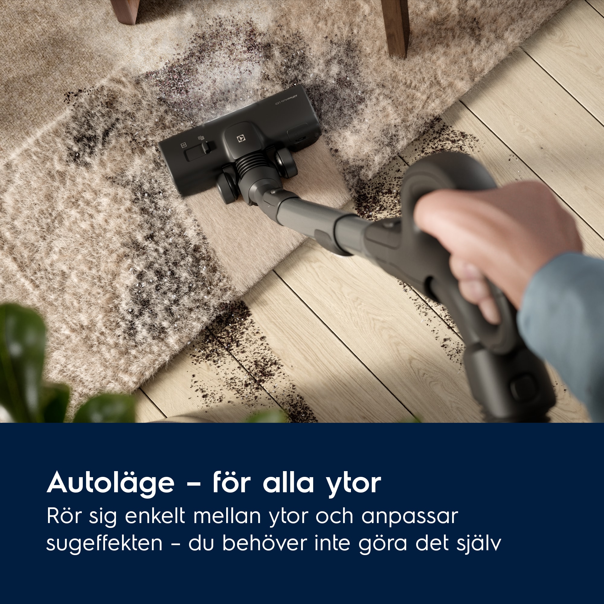 Electrolux - Dammsugare med påse - EB81U1WB