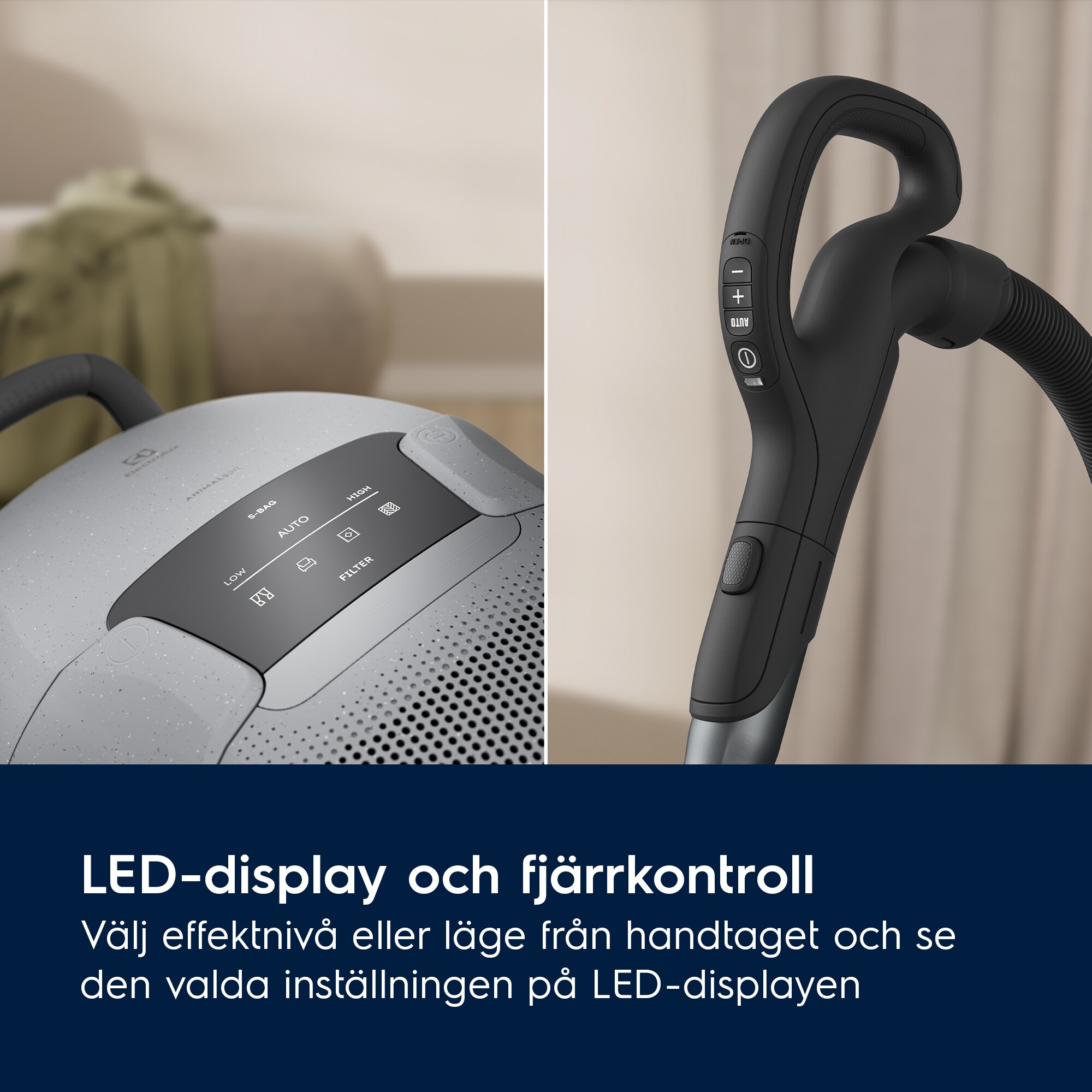 Electrolux - Dammsugare med påse - EB81A3UG