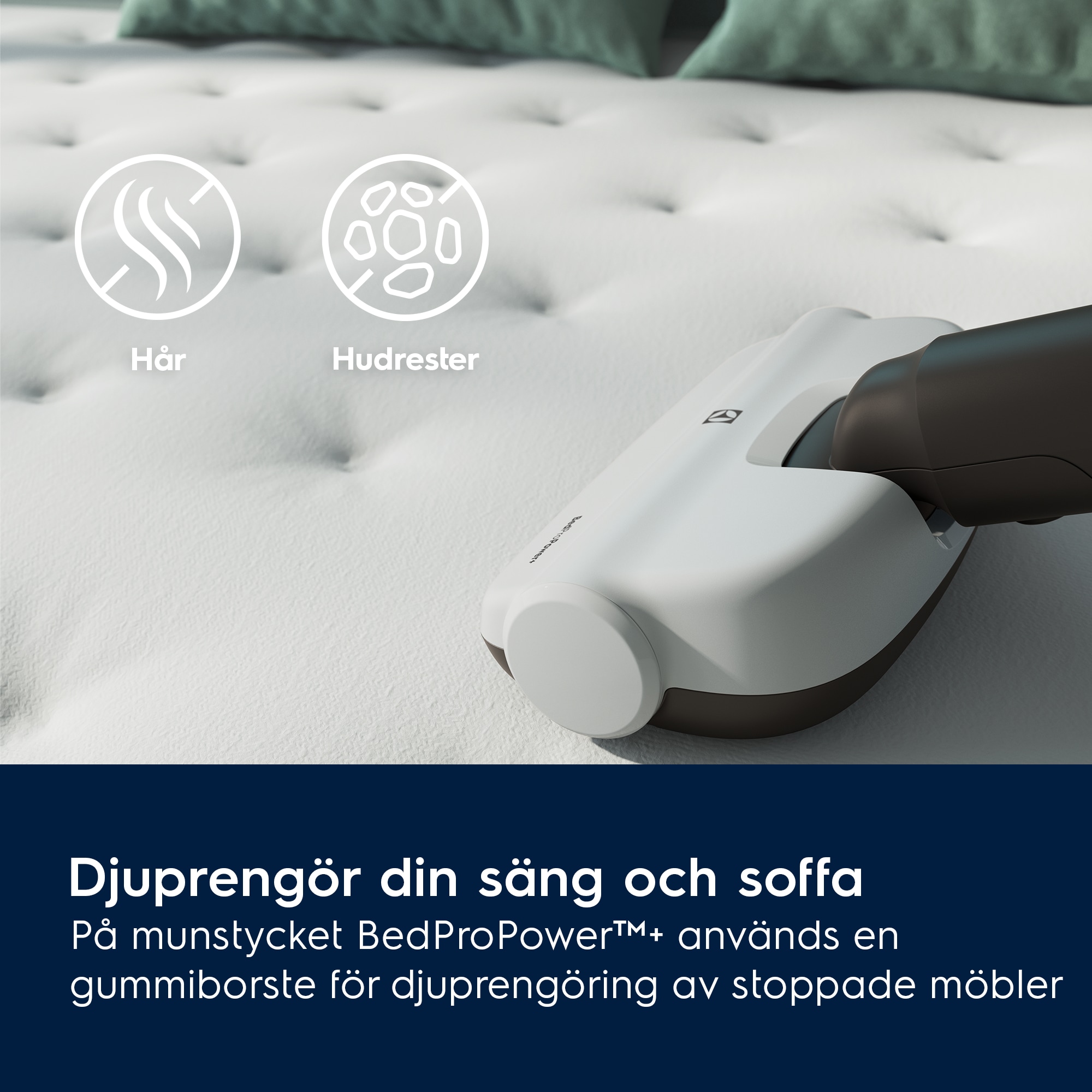 Electrolux - Skaftdammsugare - EP71HB14SH