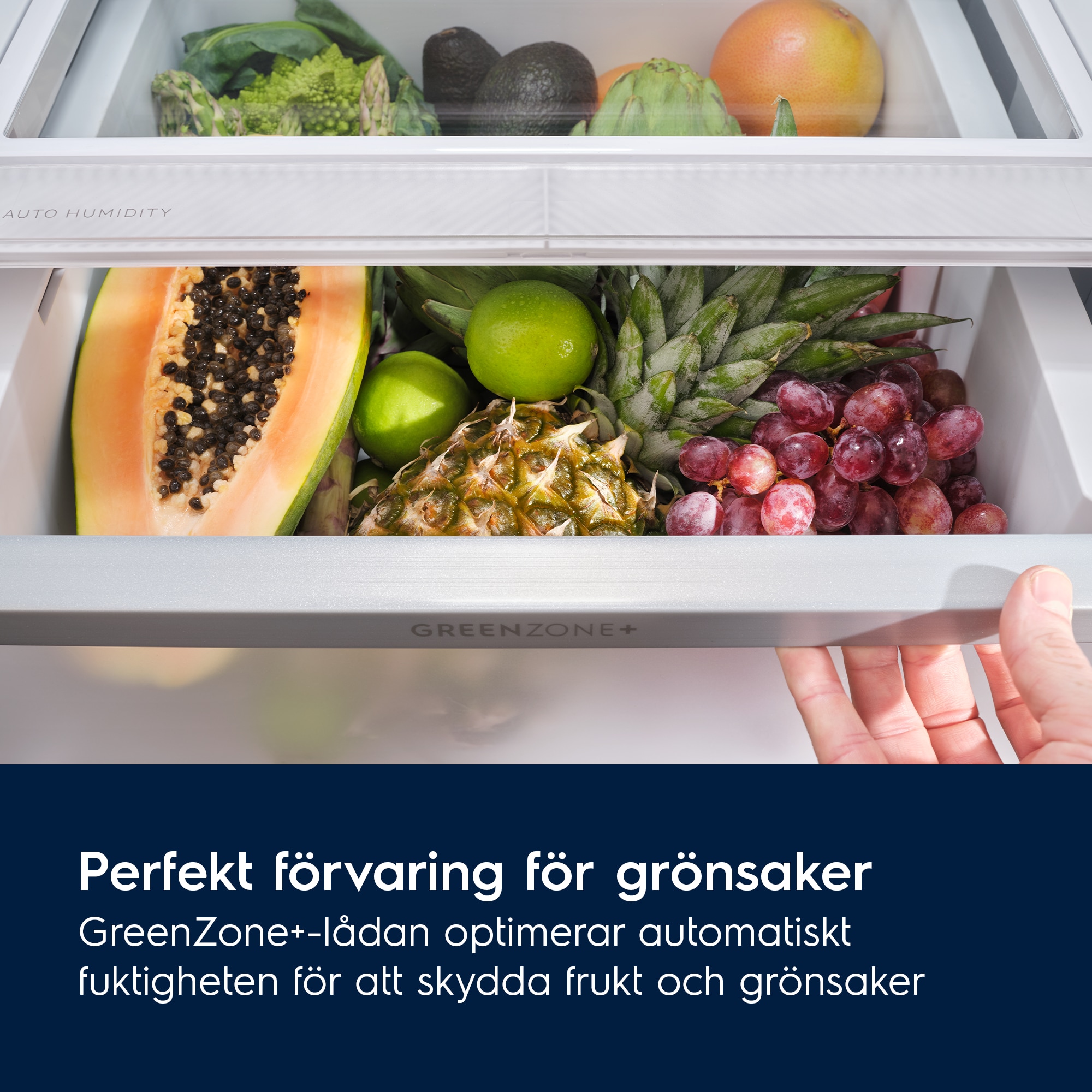 Electrolux - Fristående kyl-frys - LNT7MC36X