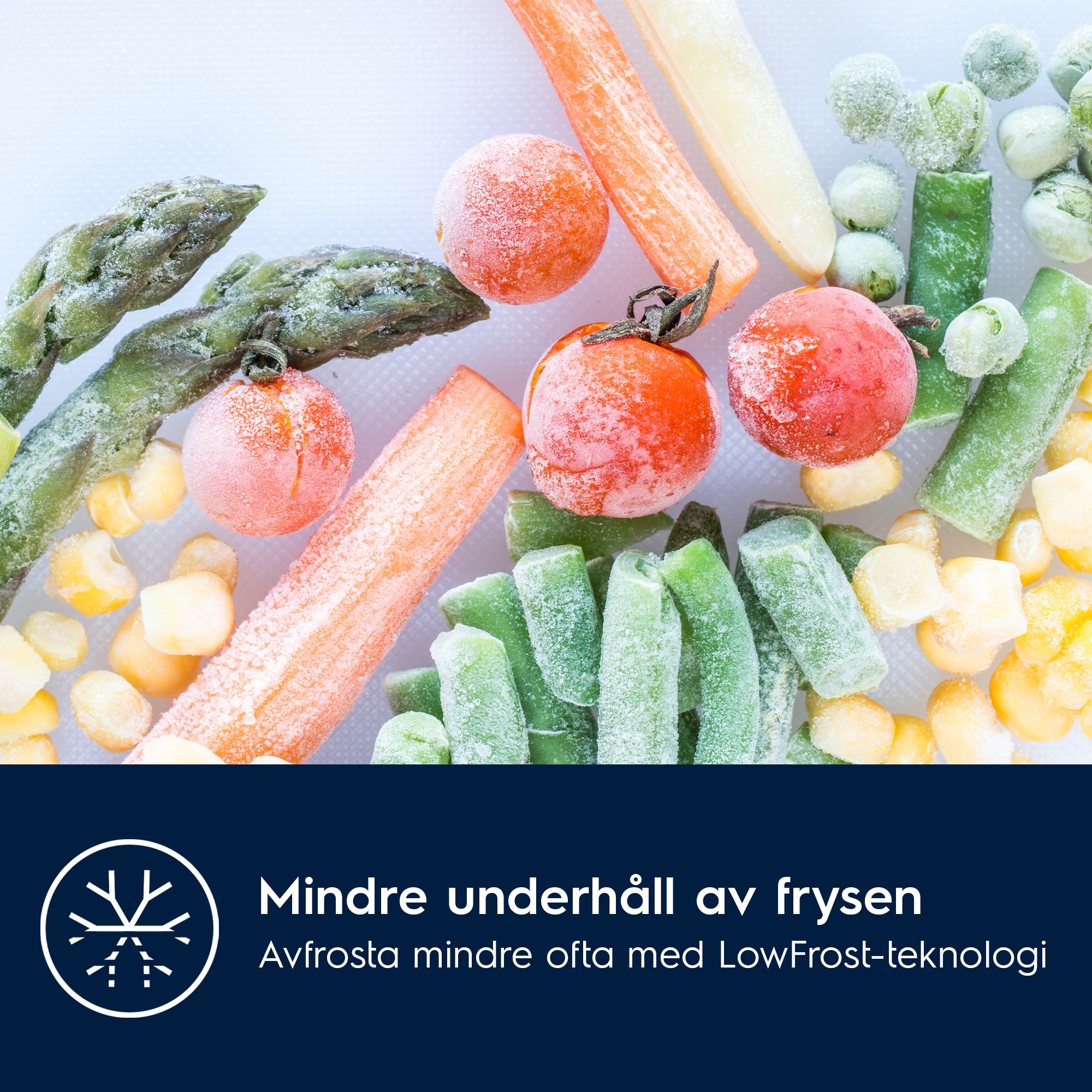 Electrolux - Integrerad kyl-frys - LNS5LE18S