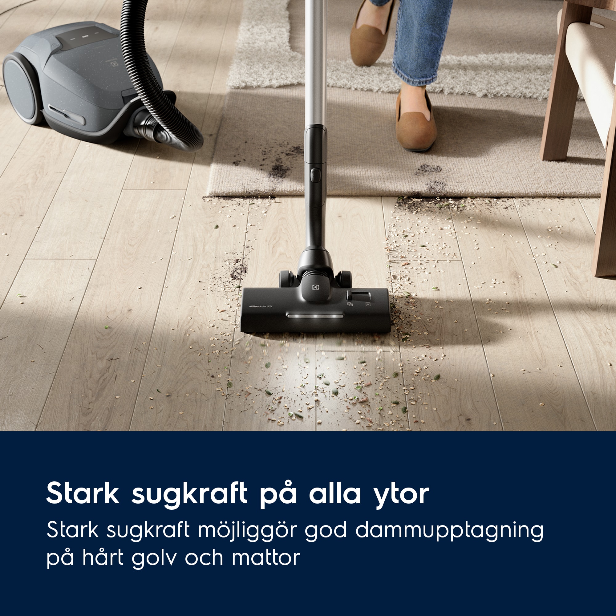 Electrolux - Dammsugare med påse - EB81U1LDB