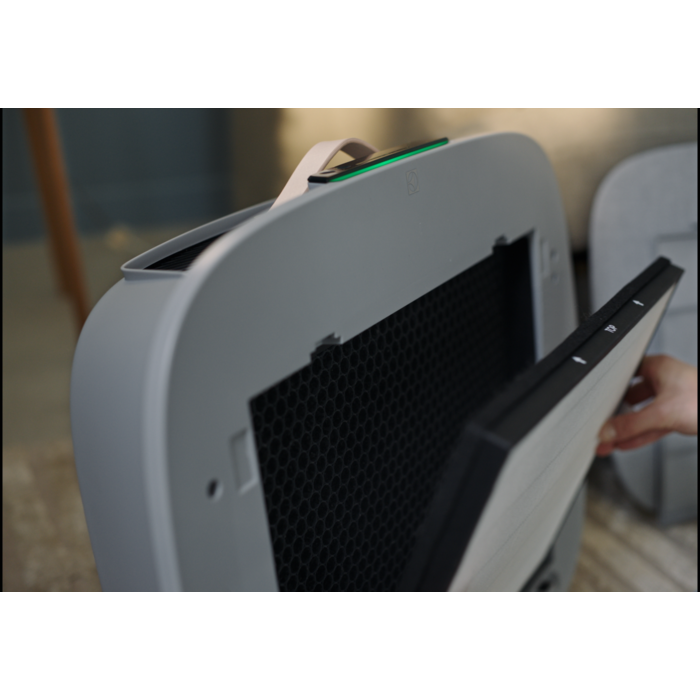 Electrolux - Filter till luftrenare - EFWCAR3