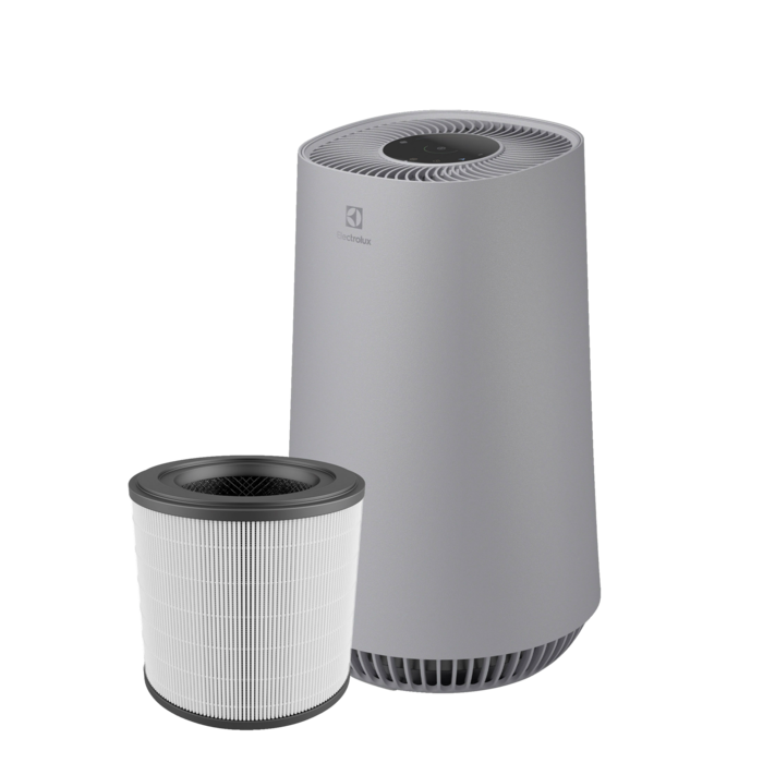 Electrolux - Filter till luftrenare - EFFCAR2
