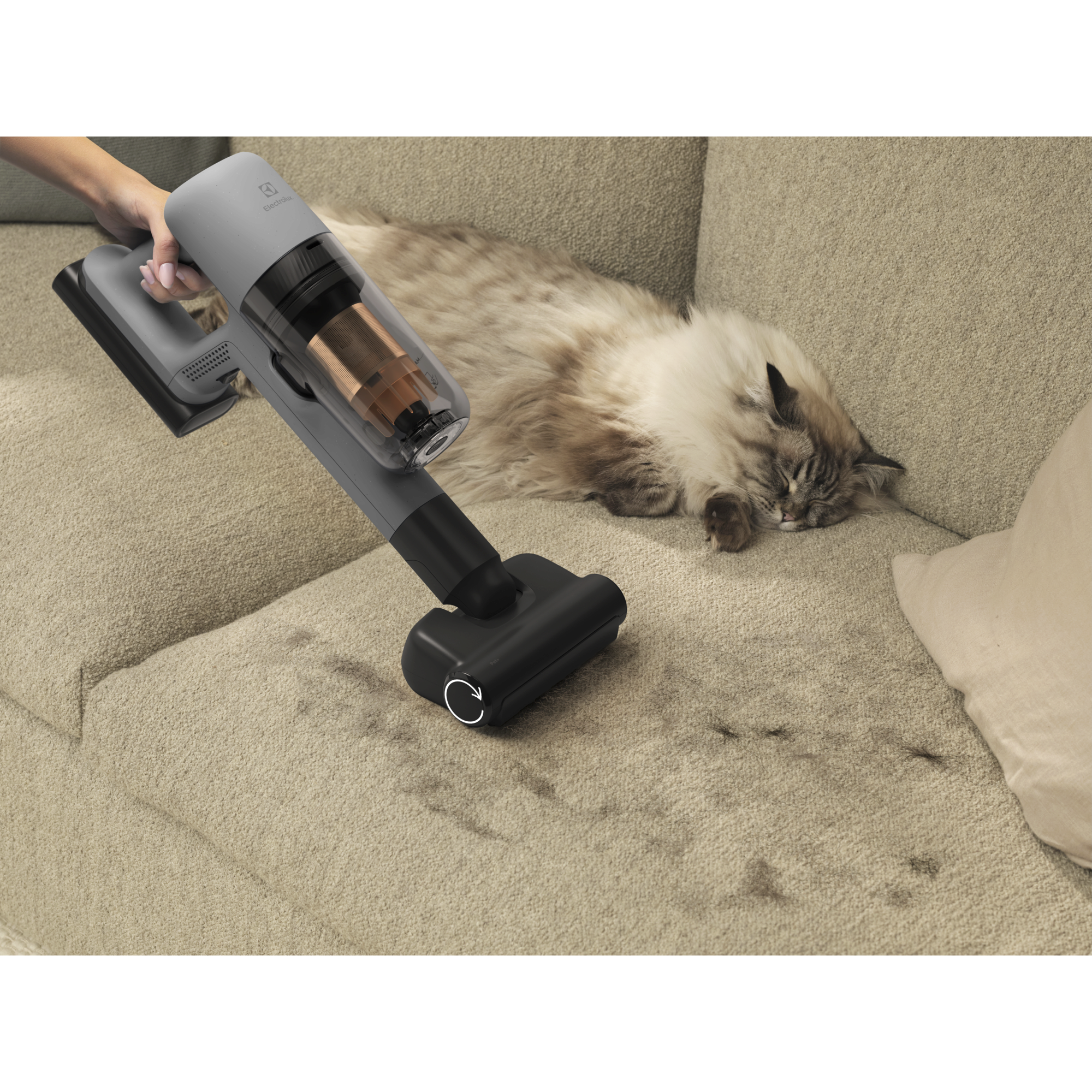 Pet+ nozzle helps removing fur from fabric and furnishings