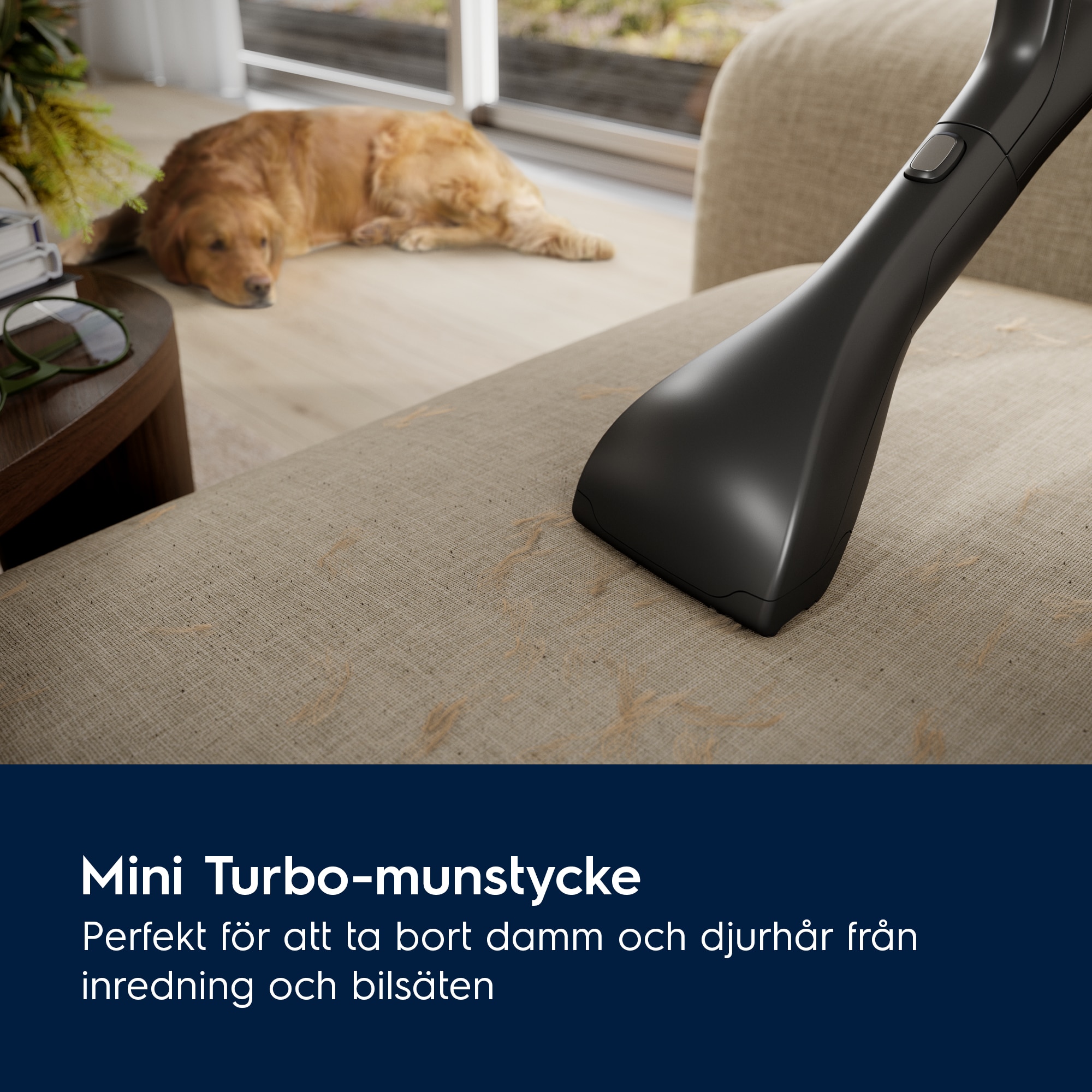 Electrolux - Dammsugare med påse - EB81A3UG