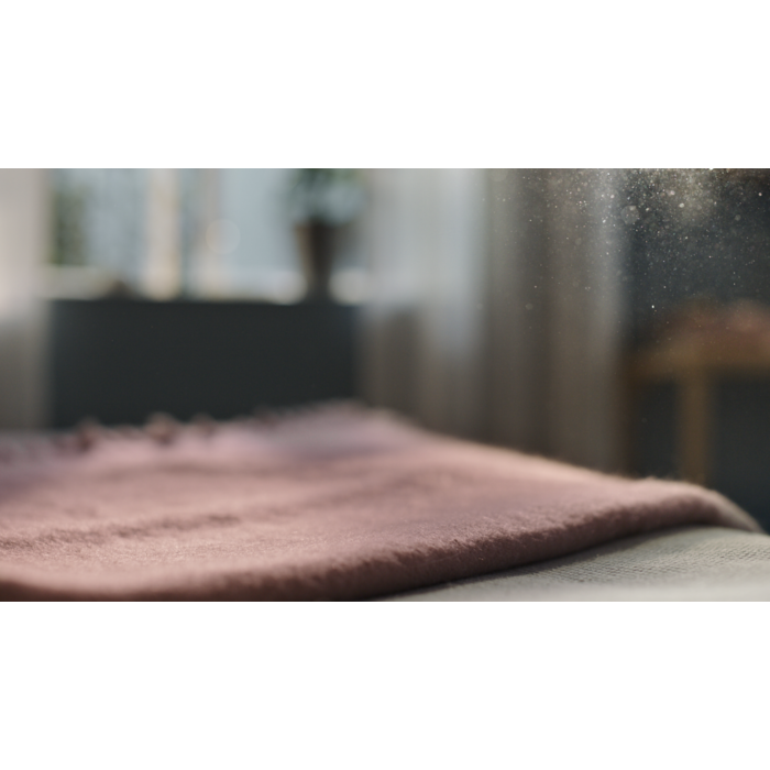 Electrolux - Filter till luftrenare - EFWBRZ3