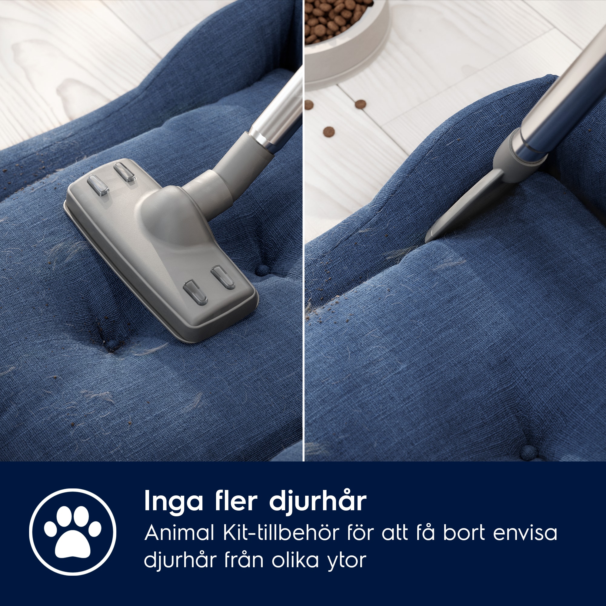 Electrolux - Dammsugare med påse - EB61A5UG