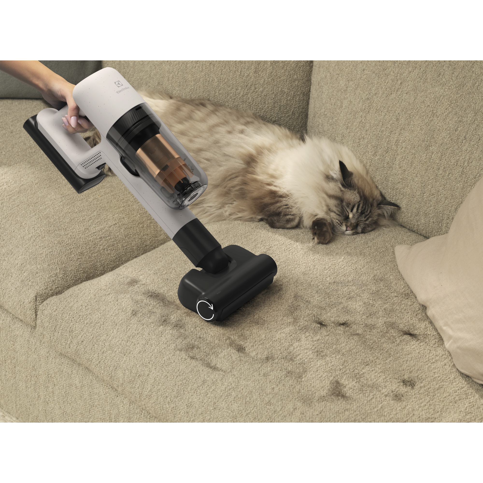 Pet+ nozzle helps removing fur from fabric and furnishings