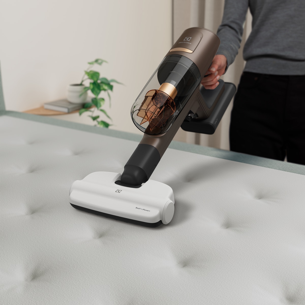 Electrolux - Dammsugarmunstycke - ZE149
