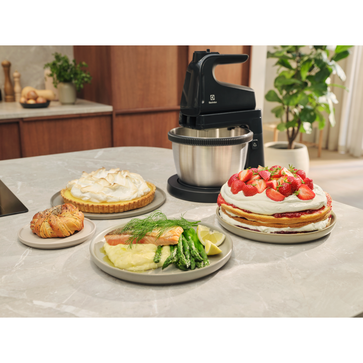 Electrolux - Elvispar - ESM4B