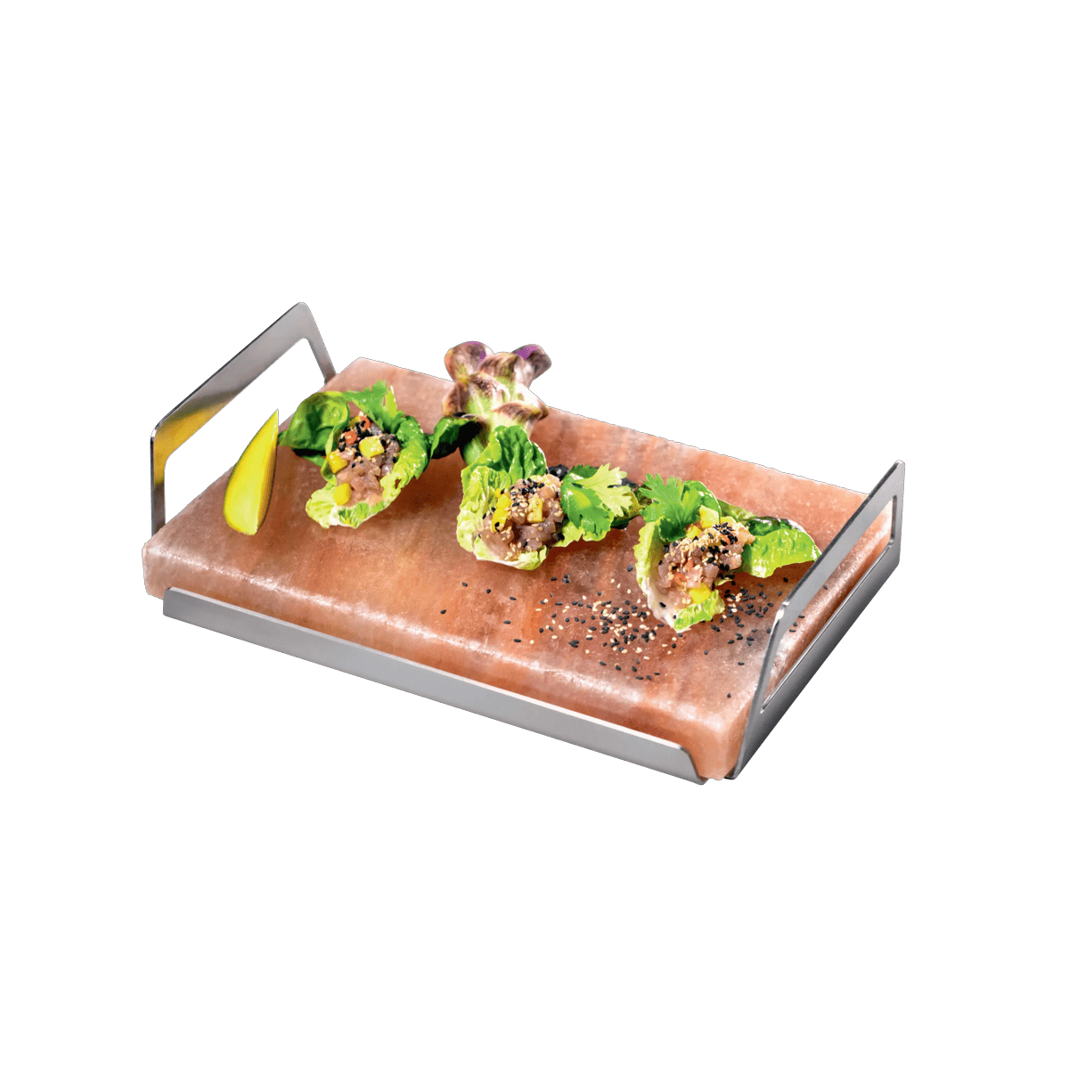 Electrolux Saltblock E2SLT