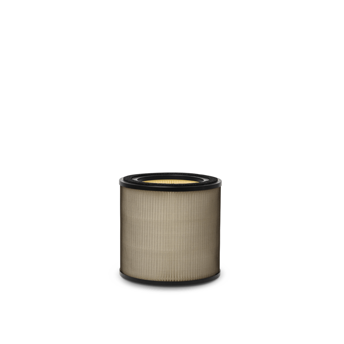 Electrolux Breathe Pollen Protect filter EFFBTH2