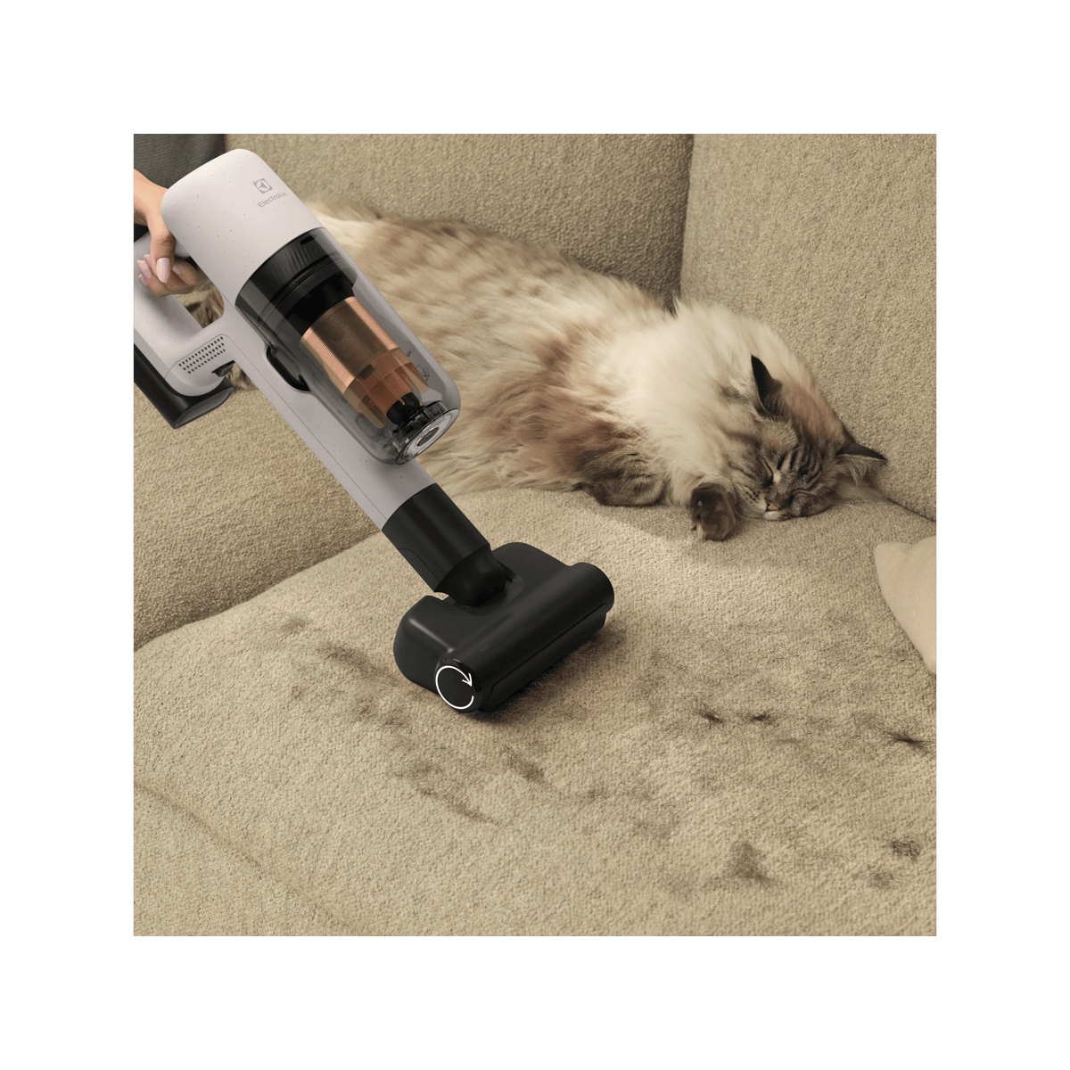 Pet+ nozzle helps removing fur from fabric and furnishings