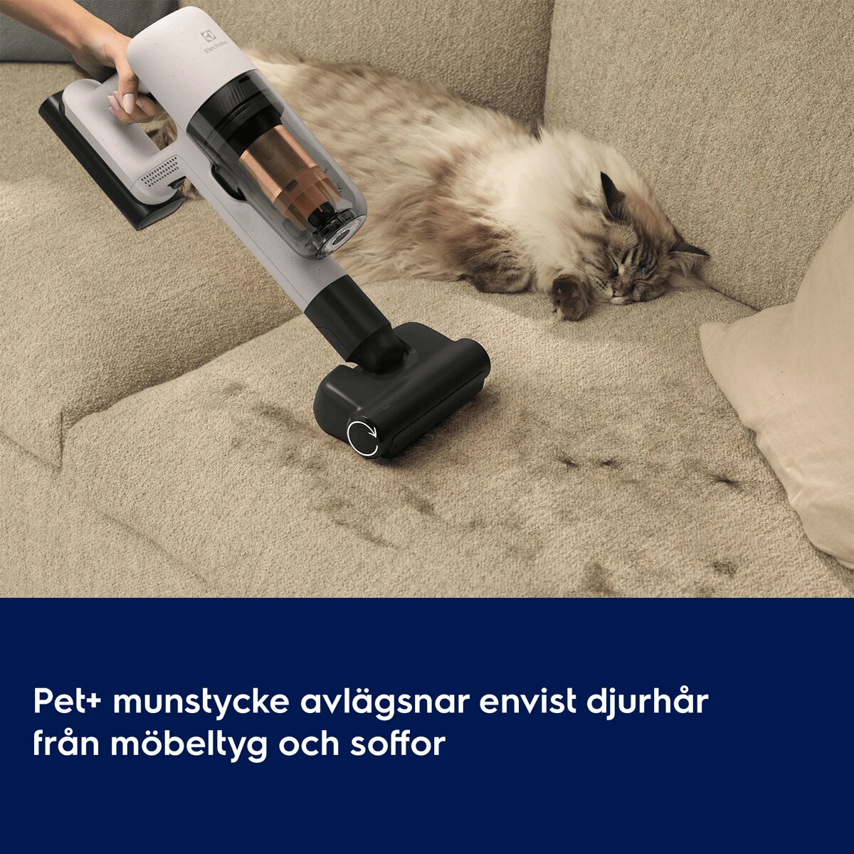 Pet+ munstycke avlägsnar envist djurhår från möbeltyg och soffor