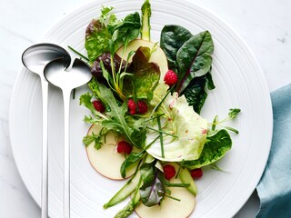 Färsk sallad från Electrolux TwinTech kyl och frys