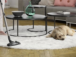Dammsugare och en hund på golvet