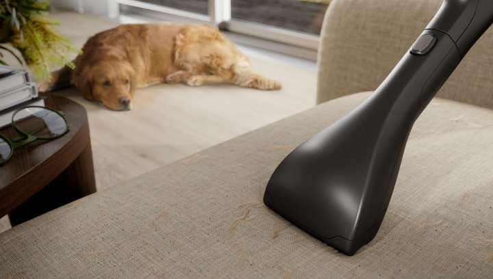 Electrolux dammsugarmunstycke på soffa.