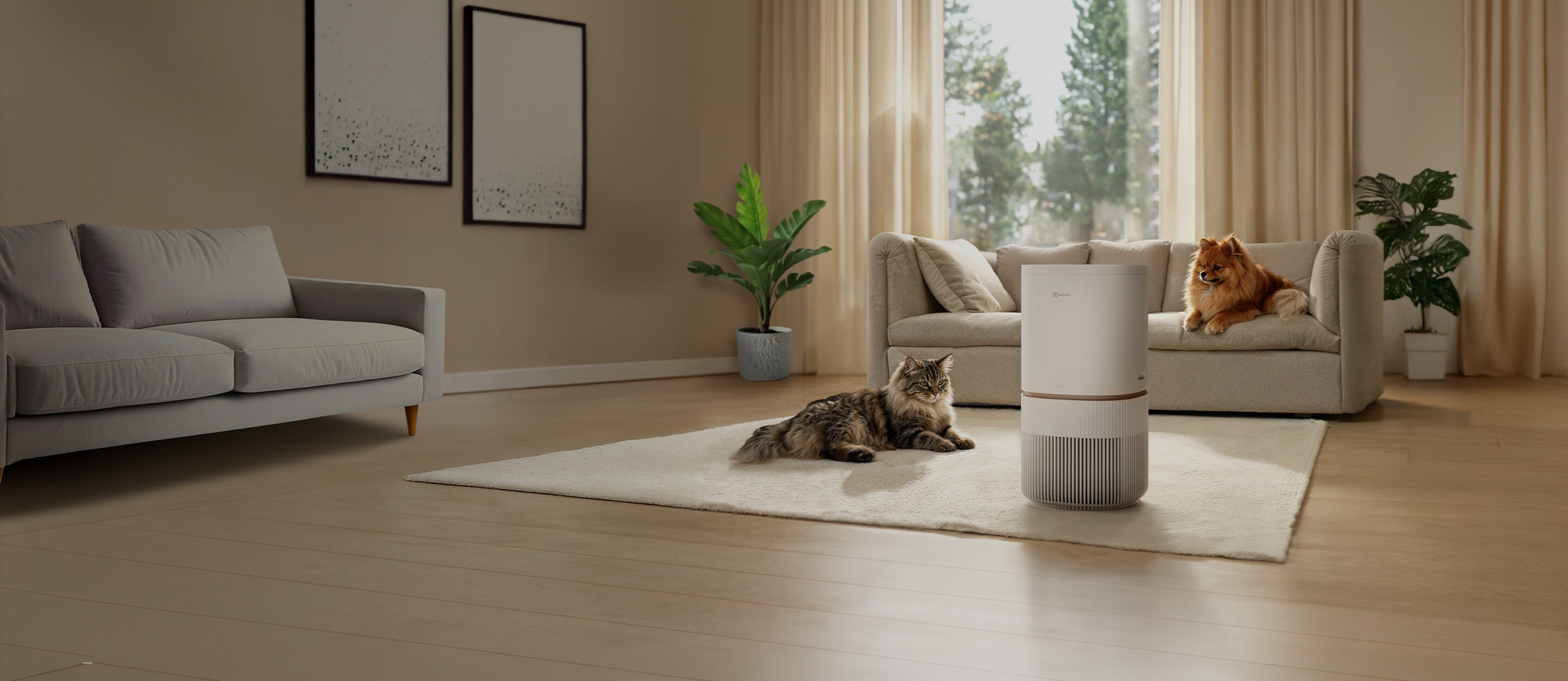 Pure 500 XL PetCare 